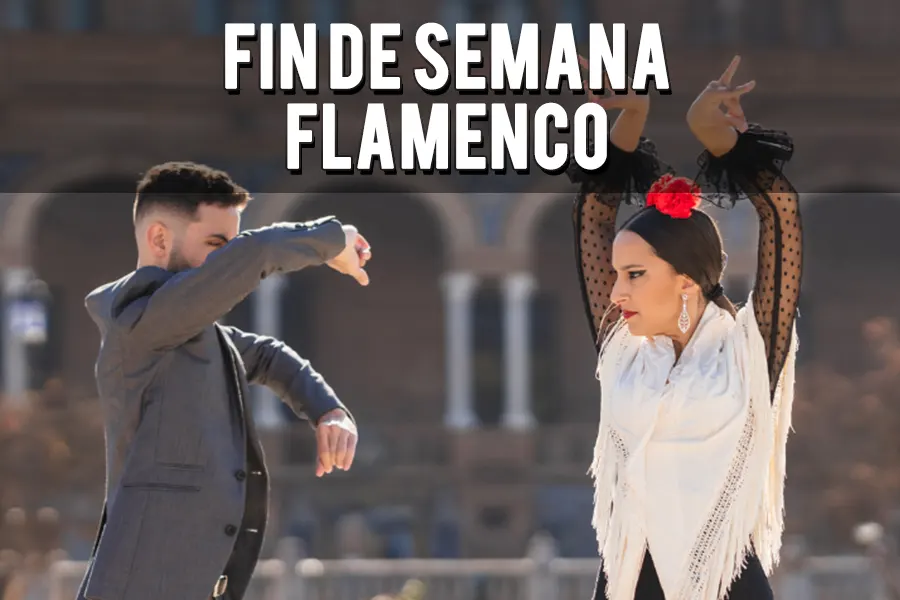 despedida de soltera flamenco